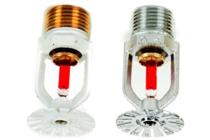 BCL/919 c